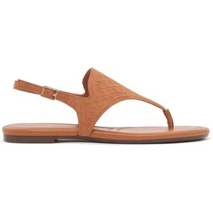 Armani Exchange Infradito Xw002572_af22796 Saline Clay EU 39 Armani Exchange Infradito Xw002572_af22796 Saline Clay EU 39