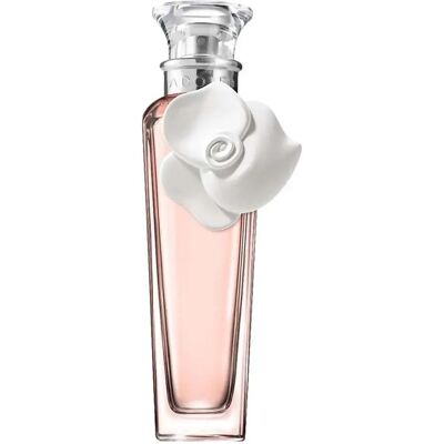 Adolfo Dominguez Eau De Toilette Agua Fresca De Rosas Blancas 120ml One Size Adolfo Dominguez Eau De Toilette Agua Fresca De Rosas Blancas 120ml One Size