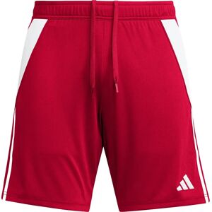 Shorts Tiro 24 adidas - Rosso - Calcio Shorts Tiro 24 adidas - Rosso - Calcio