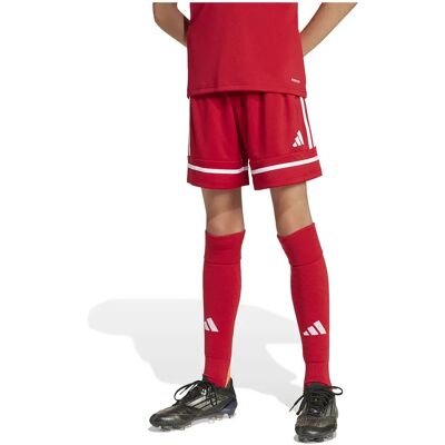 Adidas Pantaloni Corti Squadra 25 Team Power Red 2 / Team Power Red 2 / White 9-10 Anni Adidas Pantaloni Corti Squadra 25 Team Power Red 2 / Team Power Red 2 / White 9-10 Anni