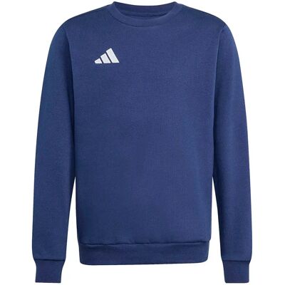 Adidas Felpa Entrada 26 Sweat Adidas Felpa Entrada 26 Sweat