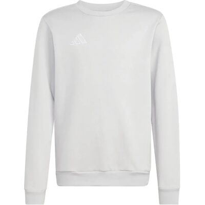 Adidas Felpa Entrada 26 Sweat Adidas Felpa Entrada 26 Sweat