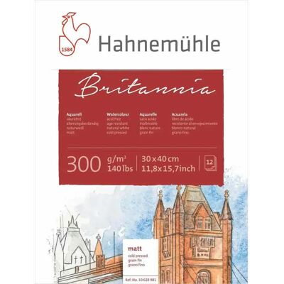 Carta artistica Hahnemühle 10628981 - 12 fogli Carta artistica Hahnemühle 10628981 - 12 fogli