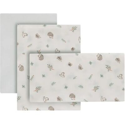 Cambrass Lenzuolo Con Angoli Moises Calma 35x80x1 Cm 3 Unità Cambrass Lenzuolo Con Angoli Moises Calma 35x80x1 Cm 3 Unità