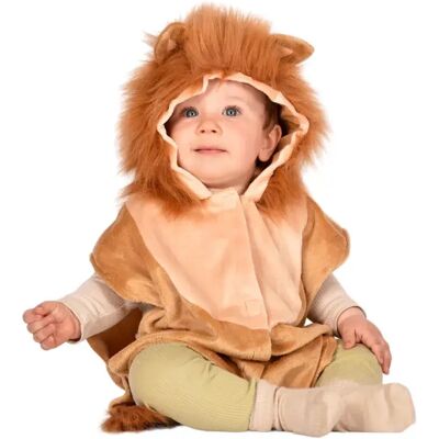 Den Goda Fen Costume Da Zebra Den Goda Fen Costume Da Zebra