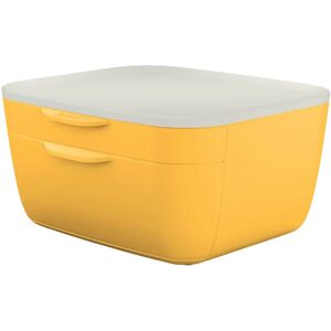 Leitz 2 Comodi Cassetti Buc Leitz 2 Comodi Cassetti Buc
