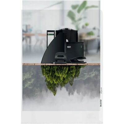 Leitz Cartella Portadocumenti Pp A4 140 Micron Riciclata 25 Unità Transparent One Size Leitz Cartella Portadocumenti Pp A4 140 Micron Riciclata 25 Unità Transparent One Size