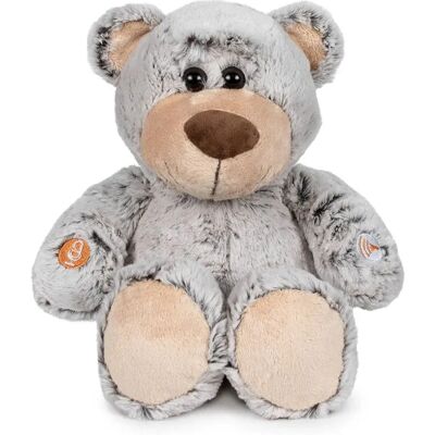 Famosa Orsacchiotto My Talking Teddy Bear Ud Famosa Orsacchiotto My Talking Teddy Bear Ud