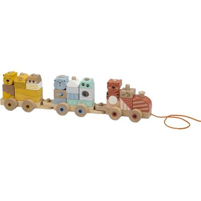 Eurekakids Trenino Di Legno Con Blocchi Di Costruzione Selvaggi Eurekakids Trenino Di Legno Con Blocchi Di Costruzione Selvaggi