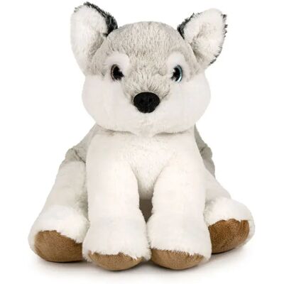 Famosa Orsacchiotto Husky 5 Cm Famosa Orsacchiotto Husky 5 Cm