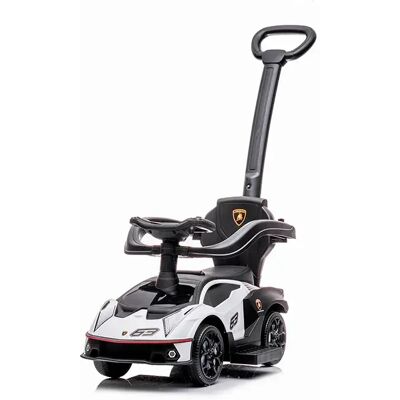 Tachan Lamborghini Essenza Scv12 Cavalcabile Tachan Lamborghini Essenza Scv12 Cavalcabile