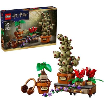 Lego Gioco Di Costruzione Hogwarts ™: Herbology Plants 817 Pezzi Lego Gioco Di Costruzione Hogwarts ™: Herbology Plants 817 Pezzi