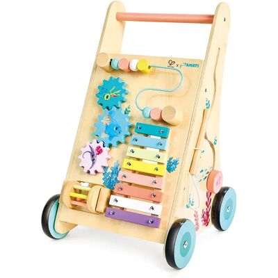 Hape Primi Passi In Legno Di Iti Hape Primi Passi In Legno Di Iti