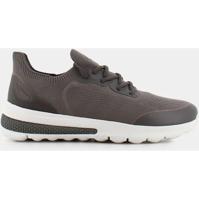 Sneakers Geox da Uomo, grigio Sneakers Geox da Uomo, grigio