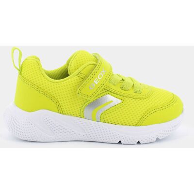 Primi Passi Geox da Primi Passi Maschio, giallo Primi Passi Geox da Primi Passi Maschio, giallo