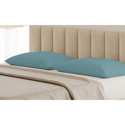 Banzaii Coppia Federe: Bianco Banzaii Coppia Federe: Bianco