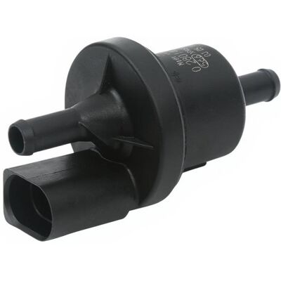 Borsehung B13667 Valvola, Filtro ai carboni attivi Borsehung B13667 Valvola, Filtro ai carboni attivi