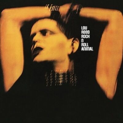 Sony Vinile Lou Reed Rock N Roll Animal Sony Vinile Lou Reed Rock N Roll Animal