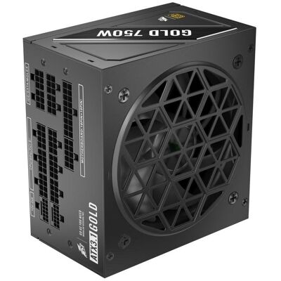 1stplayer Fuente de Alimentación NGDP-GLD-750-BK-EU 750W 80 PLUS Gold modulare 1stplayer Fuente de Alimentación NGDP-GLD-750-BK-EU 750W 80 PLUS Gold modulare