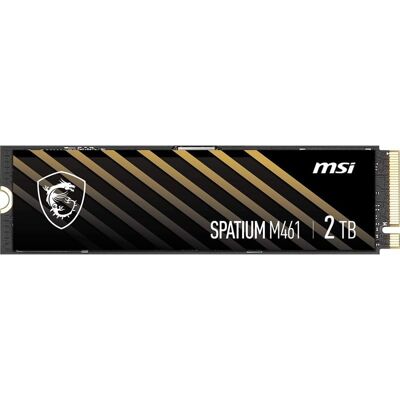 MSI SPATIUM M461 SSD 2TB NVMe M.2 Gen4x4 MSI SPATIUM M461 SSD 2TB NVMe M.2 Gen4x4