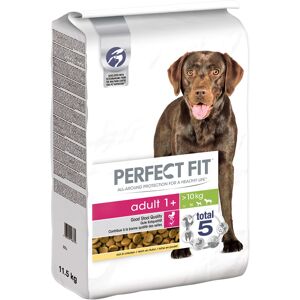 PERFECT FIT Ricco di pollo per cani adulti di taglia media e grande 11,5 kg PERFECT FIT Ricco di pollo per cani adulti di taglia media e grande 11,5 kg
