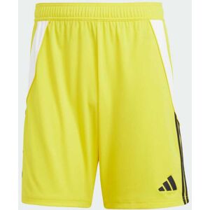 adidas Pantaloncini Tiro 24 - Giallo - Shorts adidas Pantaloncini Tiro 24 - Giallo - Shorts