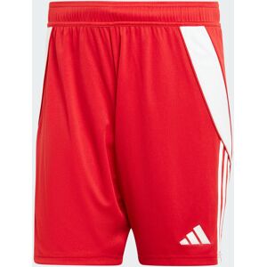 adidas Pantaloncini Tiro 24 Uomo Rosso - Pantaloncini adidas Pantaloncini Tiro 24 Uomo Rosso - Pantaloncini