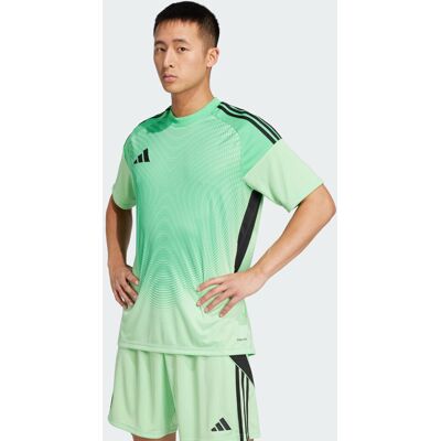 Adidas - TIRO 25 Competition Goalkeeper - Verde Adidas - TIRO 25 Competition Goalkeeper - Verde