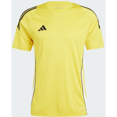 Maglia Adidas Tiro 24 - Giallo - Maglia - Calcio Maglia Adidas Tiro 24 - Giallo - Maglia - Calcio