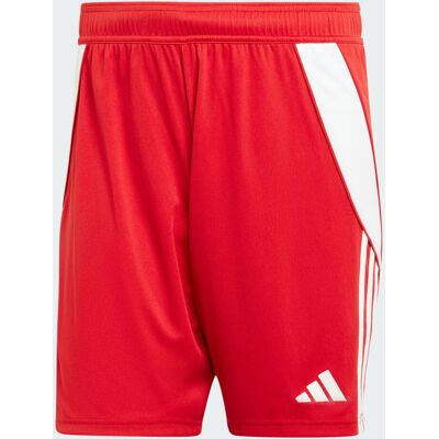 adidas Pantaloncini Tiro 24 Uomo Rosso - Pantaloncini adidas Pantaloncini Tiro 24 Uomo Rosso - Pantaloncini