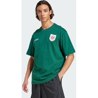 Adidas T-shirt Stemma Grafico L Collegiate Green / Collegiate Green Adidas T-shirt Stemma Grafico L Collegiate Green / Collegiate Green