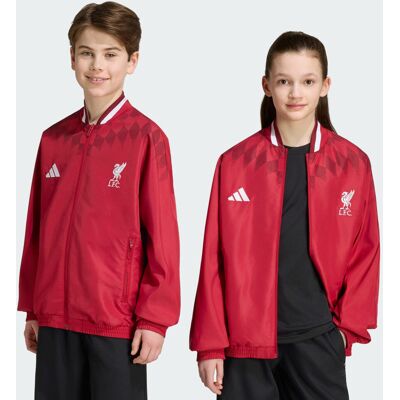 Adidas Giacca da allenamento Stadium Liverpool FC Kids 13-14A Active Maroon Adidas Giacca da allenamento Stadium Liverpool FC Kids 13-14A Active Maroon