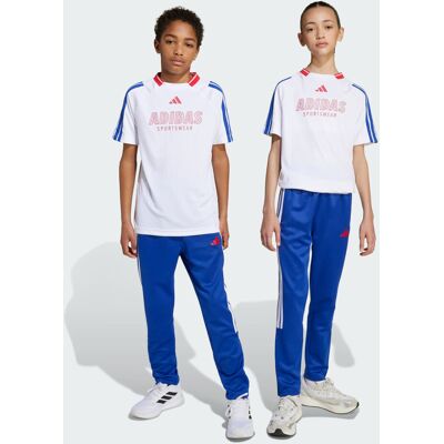 Adidas Pantaloni House of Tiro Junior 9-10A Semi Lucid Blue / Pure Ruby / White Adidas Pantaloni House of Tiro Junior 9-10A Semi Lucid Blue / Pure Ruby / White