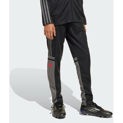 Adidas Pantaloni da allenamento Squadra 25 Bambino 13-14A Black / Team Grey Four / Pure Ruby Adidas Pantaloni da allenamento Squadra 25 Bambino 13-14A Black / Team Grey Four / Pure Ruby