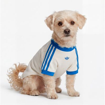 Adidas T-SHIRT PER ANIMALI DOMESTICI CALI 2XL Off White / Blue Bird Adidas T-SHIRT PER ANIMALI DOMESTICI CALI 2XL Off White / Blue Bird
