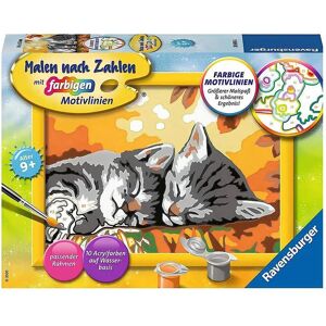 Ravensburger Gattino in autunno Ravensburger Gattino in autunno