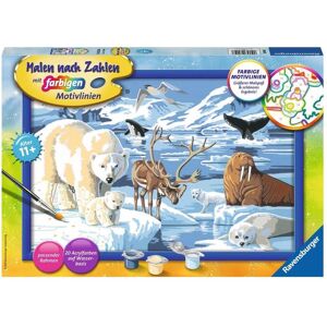 Ravensburger Animali artici Ravensburger Animali artici