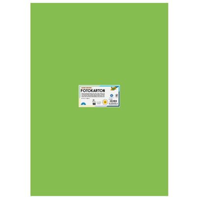 Folia, Carta bricolage, Cartone fotografico 300g/m2 verde chiaro 50x70 cm, 1 foglio con codice EAN (300 g/m², 1x) Folia, Carta bricolage, Cartone fotografico 300g/m2 verde chiaro 50x70 cm, 1 foglio con codice EAN (300 g/m², 1x)