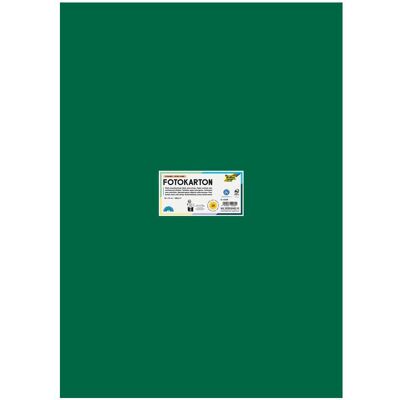 Folia, Carta bricolage, Cartone fotografico 300g/m2 verde abete 50x70 cm, 1 foglio con codice EAN (300 g/m², 1x) Folia, Carta bricolage, Cartone fotografico 300g/m2 verde abete 50x70 cm, 1 foglio con codice EAN (300 g/m², 1x)