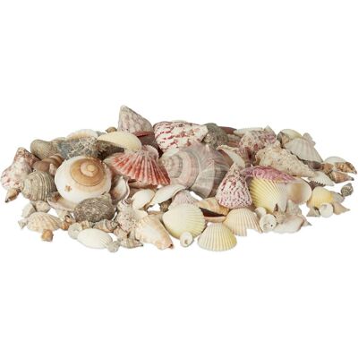 Relaxdays Set di Decorazioni con Conchiglie - Atmosfera Spiaggia - 1kg Relaxdays Set di Decorazioni con Conchiglie - Atmosfera Spiaggia - 1kg