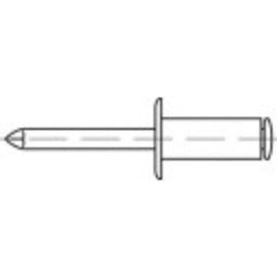 TOOLCRAFT 159928 Rivetto - 3,2mm x 12mm Alluminio Acciaio - 500 pezzi TOOLCRAFT 159928 Rivetto - 3,2mm x 12mm Alluminio Acciaio - 500 pezzi