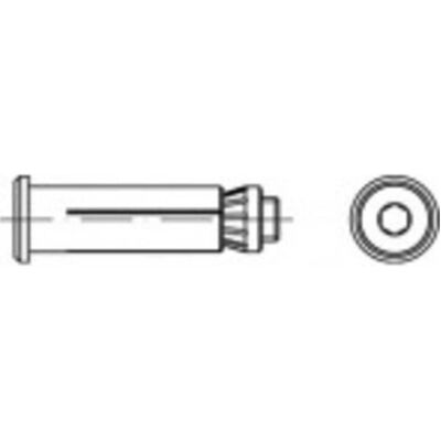 Alstertaler Hollo-Bolt 55 mm Acciaio zincato - Bullone Alstertaler Hollo-Bolt 55 mm Acciaio zincato - Bullone