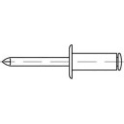 TOOLCRAFT 160332 Rivet - Chiodo cieco aperto, 5mm x 10mm, Alluminio e acciaio - Rivetto TOOLCRAFT 160332 Rivet - Chiodo cieco aperto, 5mm x 10mm, Alluminio e acciaio - Rivetto