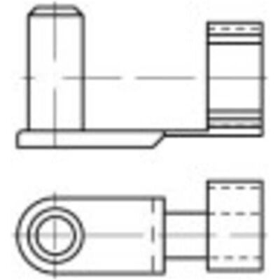 Toolcraft Modello 160386 Bullone a molla - Tipo di bullone Toolcraft Modello 160386 Bullone a molla - Tipo di bullone