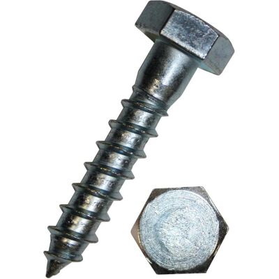 Werkstarck, Viti, Viti mordenti DIN 571 (100 Viti per pezzo) Werkstarck, Viti, Viti mordenti DIN 571 (100 Viti per pezzo)