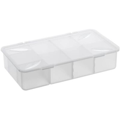 Rotho, Box portaoggetti, Snappy (19.80 cm, 3 l, 1x) Rotho, Box portaoggetti, Snappy (19.80 cm, 3 l, 1x)