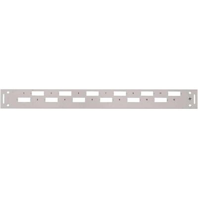 Telegärtner Coperchio frontale - Grigio, RAL 7035 - 1U - 48.3 cm (19"), Accessori per server, Grigio Telegärtner Coperchio frontale - Grigio, RAL 7035 - 1U - 48.3 cm (19"), Accessori per server, Grigio
