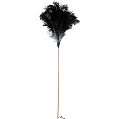 Bürstenhaus Redecker Fronda di struzzo, Utensili pulizia, Nero, Marrone Bürstenhaus Redecker Fronda di struzzo, Utensili pulizia, Nero, Marrone