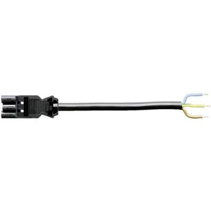 Wieland, Materiale installazioni elettriche, 2Plug / presa estremità libera Wieland, Materiale installazioni elettriche, 2Plug / presa estremità libera