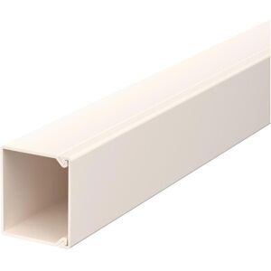 OBO Bettermann 6026826 Gola per cavi - Parete/soffitto, pre-forata, bianco crema OBO Bettermann 6026826 Gola per cavi - Parete/soffitto, pre-forata, bianco crema